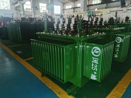 off-Circuit Tap-Changer 630kVA 800KVA 1000kVA 1600kVA Oil Immersed Power Transformer - Image 5
