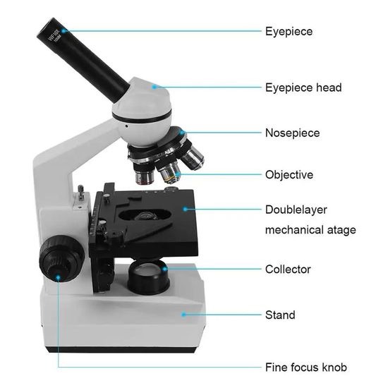 Professional Monocular Microscope Featuring Bright LED Lighting System - Image 4