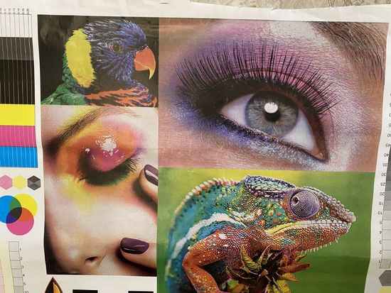 Nylon Flexographic Press Printer - Image 5