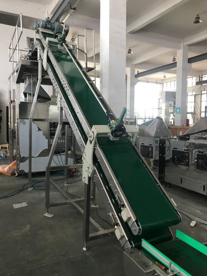 Automatic Pouch Secondary Baling Packing Packaging Machine Baler Machine (Sachets Into Big Pillow/Gusseted bag/PE BAG) for Seeds/Beans/Rice/Detergent Powder - Image 3