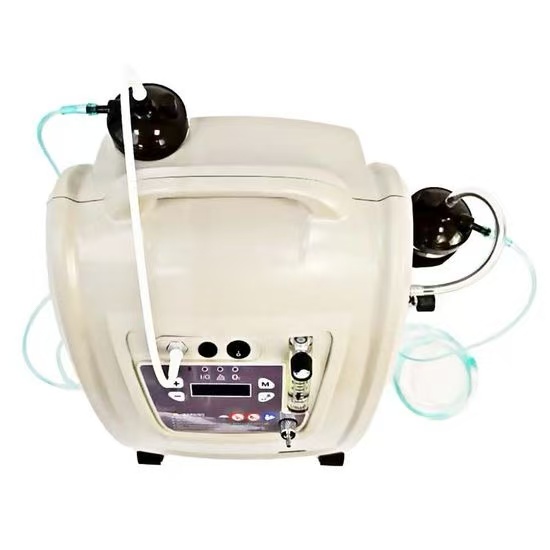 Medical Oxygen Concentrator Double Flow Hospital - Image 5