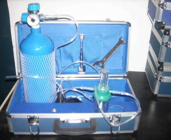 Portable Oxygen Concentrator for Home & Travelling Uses - Image 5